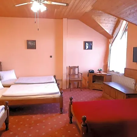Garni Asas*** 3* Most